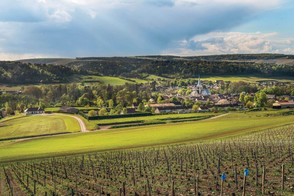 Wino francuskie musujące AOP Crémant D'Alsace Saint Éloi Brut