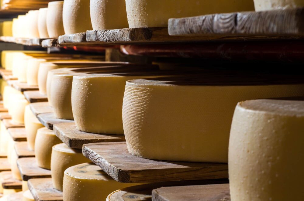 Ser szwajcarski Appenzeller AOC Gold dojrzewający 5 miesięcy