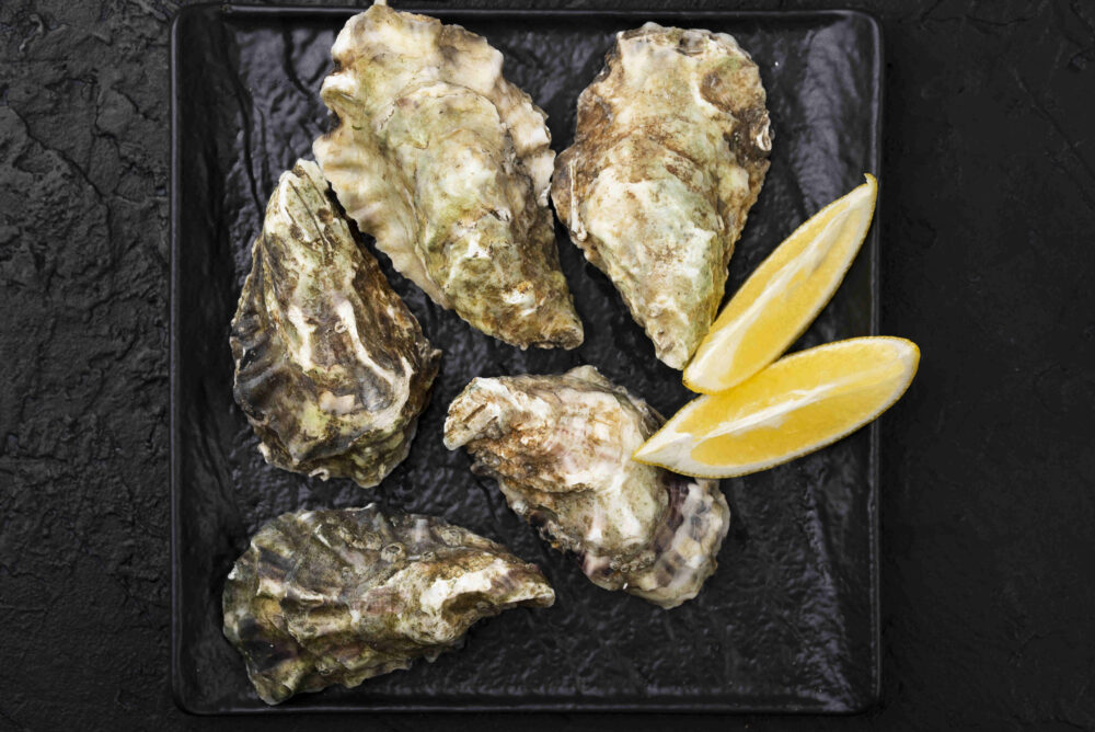 Ostrygi Le Gall Premium
