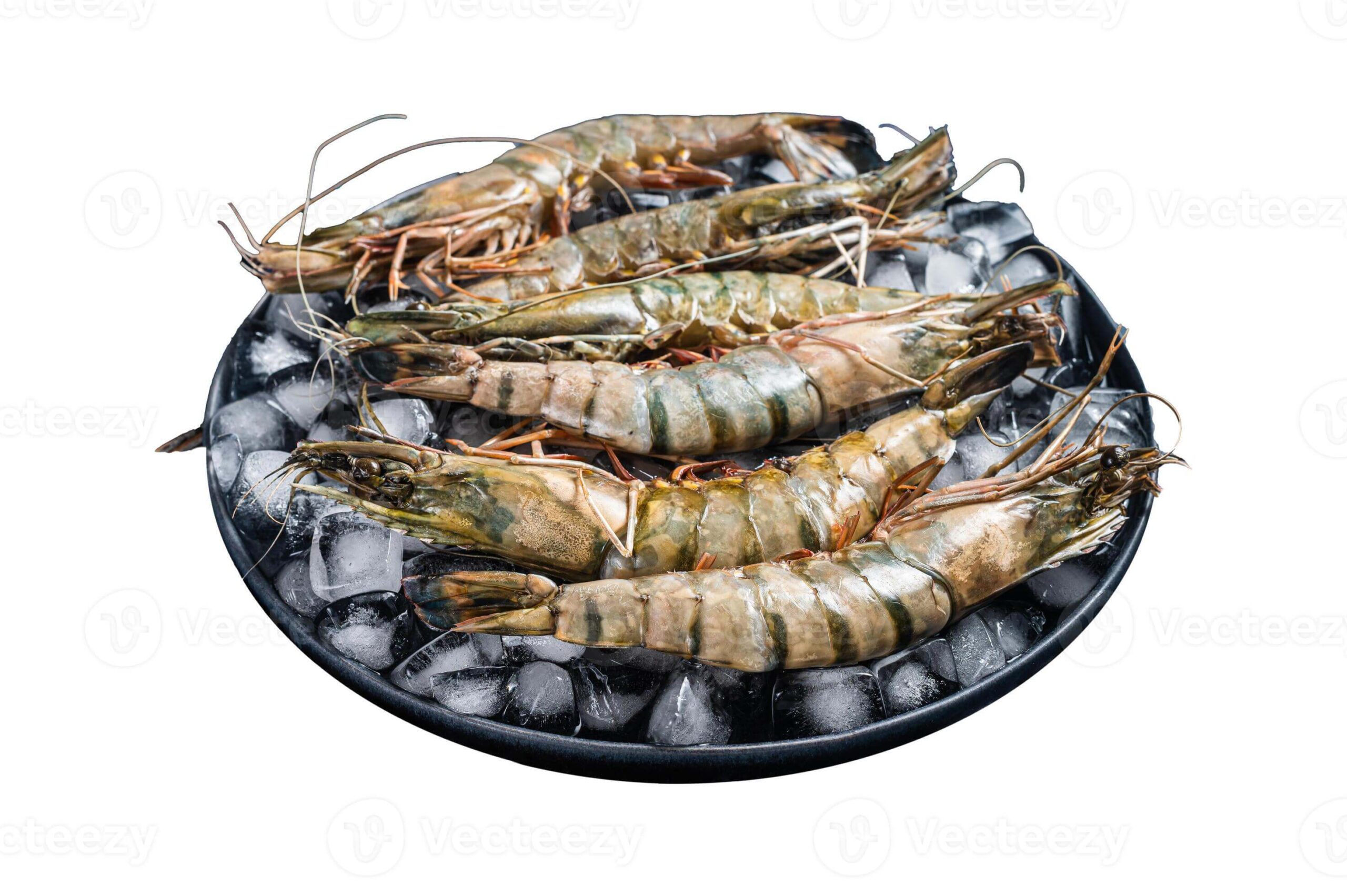 Krewetki Black Tiger 16/20 całe HOSO 800g – idealne do ramenów i grilla